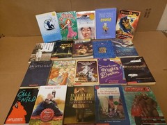 Lot of 50 Chapter INSTANT LIBRARY Children Young Adult RANDOM UNSORTED BOOKS MIX