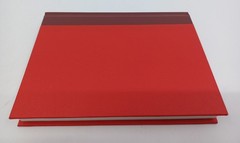 The Reflecting Eye John Connolly SIGNED 2 x’s NUMBERED LIMITED 2012 David Wolfe