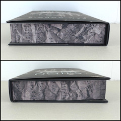 Blackout Romance Pam Godwin Dark Notes Special Edition Hardcover New