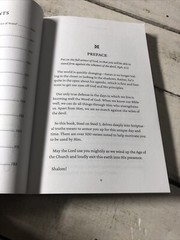 Steel on Steel Book 3 – Perfect Paperback By Bill Perkins