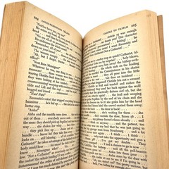 Castle to Castle by Céline Intro by Vonnegut 1976 Penguin PB