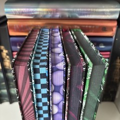 The Disciples Series by Cassandra Robbins Dark & Quirky Special Edition Books