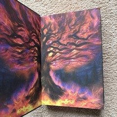 The Kindred’s Curse Saga by Penn Cole Dark & Quirky Book Box Special Editions