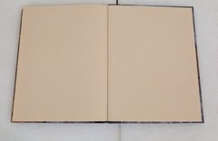 Dungeons & Dragons Player’s Handbook v3.5 Special Edition First Printing HC 2004