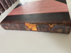 The German Classics: Masterpieces of German Literature, 20 Vol. 1914 Complete