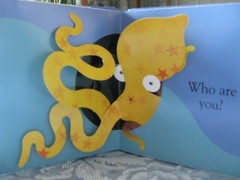 I’M SHY ~ A Bashful Little Pop-Up Book ~ By David A. Carter ~ 1993