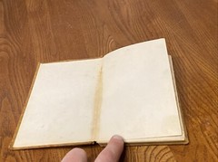 Antique RIP-VAN WINKLE BY WASHINGTON IRVIN HARD COVER BORSE & HOPKINS 47 Pages