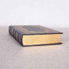 A System of Penal Law for the State of Louisiana Legal Classics Library Leather
