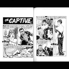 Eric Stanton, Gene Bilbrew: The Best of Satellite Publishing Co. FetHistory book