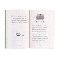 Christie and Agatha’s Detective Agency 5 Books Collection Box Set -Ages 7-9 – PB