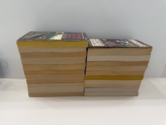 Complete set of 21 vintage Brother Cadfael mystery paperbacks Ellis Peters