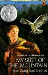 My Side of the Mountain – Paperback By George, Jean Craighead – GOOD